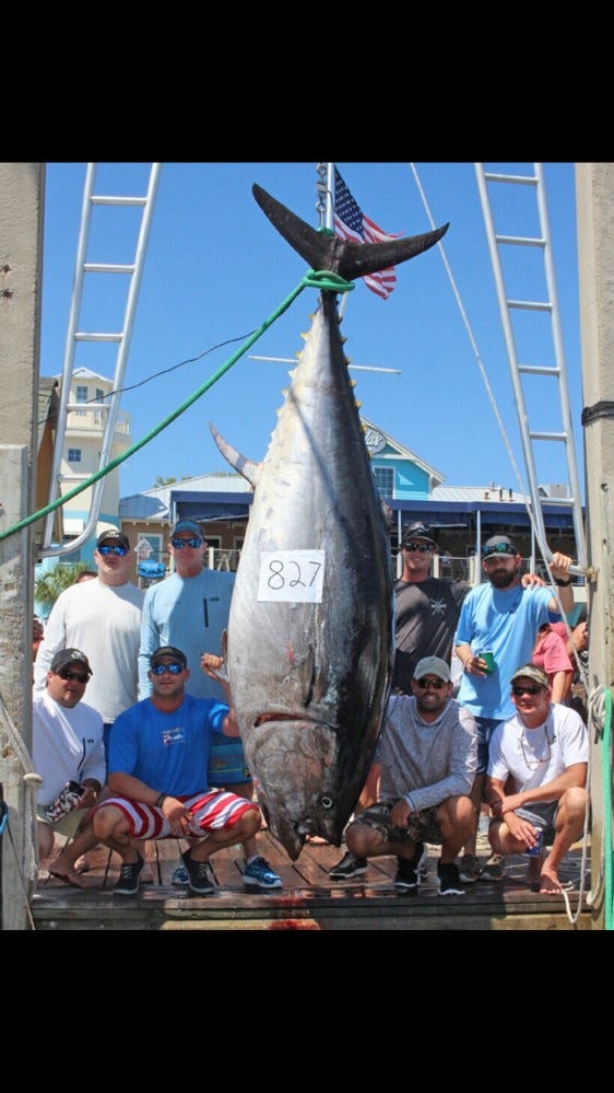 largest bluefin tuna caught on rod and reel